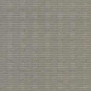  Rasch Axiom 960945 -  1
