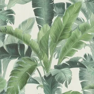  Rasch Barbara Home Collection II 536683 -  1