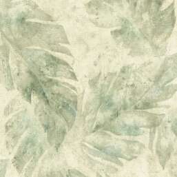 ���� Rasch Belseto 416121