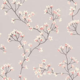 ���� Rasch Belseto 792713