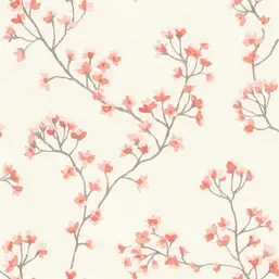  Rasch Belseto 792720