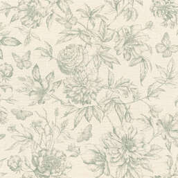 ���� Rasch Belseto 793925