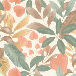 ���� Rasch Belseto 794113