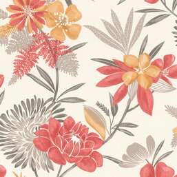 ���� Rasch Belseto 794243