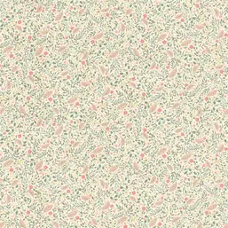  Rasch Belseto 795011