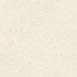 ���� Rasch Belseto 520828