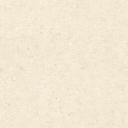 ���� Rasch Belseto 520835