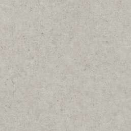 ���� Rasch Belseto 520859