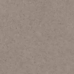  Rasch Belseto 520873