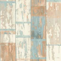 ���� Rasch Belseto 416428