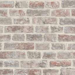 ���� Rasch Belseto 795141