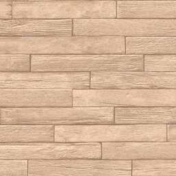 ���� Rasch Belseto 822540