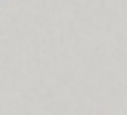  Rasch Bright Whisper  W190023