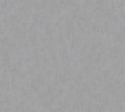 ���� Rasch Bright Whisper  W190029