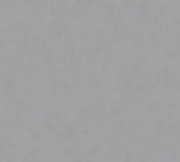  Rasch Bright Whisper  W190029