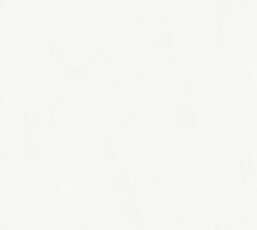 ���� Rasch Bright Whisper  W197001