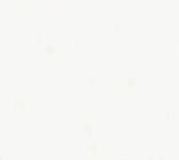  Rasch Bright Whisper  W197001