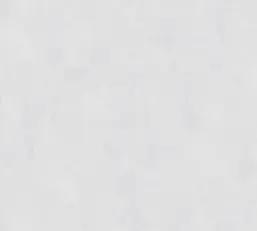  Rasch Bright Whisper  W197003