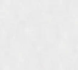  Rasch Bright Whisper  W197013