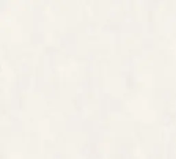  Rasch Bright Whisper  W197043