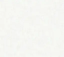  Rasch Bright Whisper  W197101