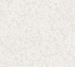 ���� Rasch Bright Whisper  W197102