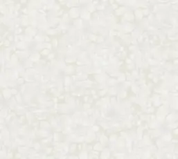  Rasch Bright Whisper  W197102