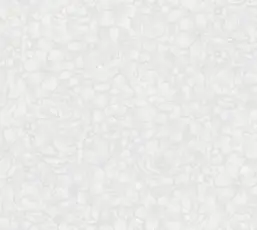  Rasch Bright Whisper  W197103