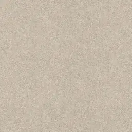  Rasch Composition XL  973631