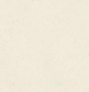  Rasch Concrete XL 974201 -  1