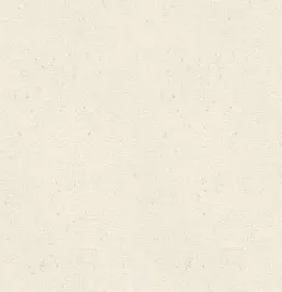  Rasch Concrete XL 974201