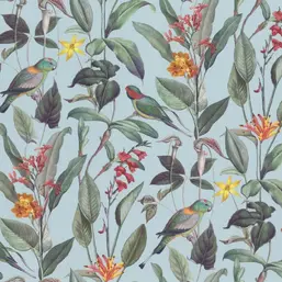  Rasch Cuisine 918762