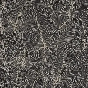  Rasch Denzo II 456608 -  1