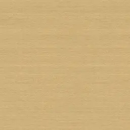  Rasch Etro II 534016