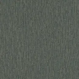  Rasch  Excellent RH484298