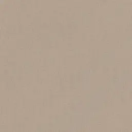  Rasch  Excellent RH484656
