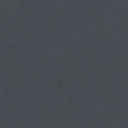  Rasch  Excellent RH484670