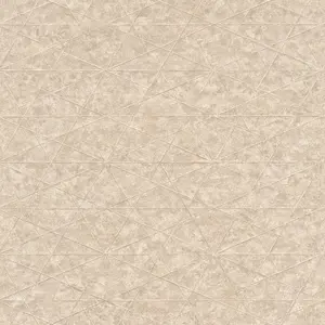  Rasch  Excellent RH554335 -  1