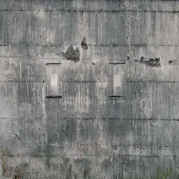  Rasch Factory IV 445503