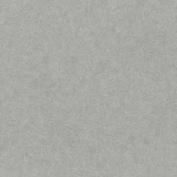  Rasch Factory Style 947427