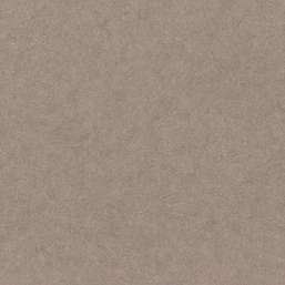  Rasch Factory Style 947441