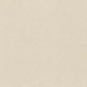 Rasch Factory Style 947465 -  1