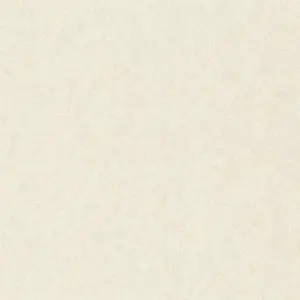  Rasch Factory Style 947649 -  1