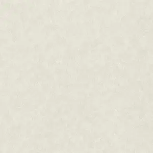 Обои Rasch Factory Style 947656 - фото 1