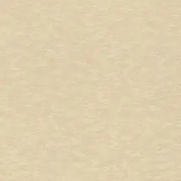  Rasch Filigrano 964851