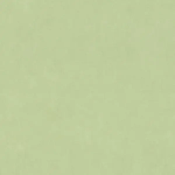  Rasch Garden  330052r -  1
