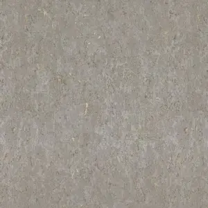  Rasch Gentle Elegance  977424 -  1