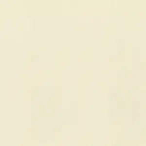  Rasch Gentle Elegance  980363 -  1