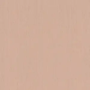  Rasch  Indian Style 746075 -  1