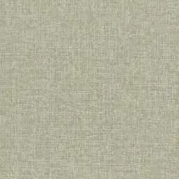  Rasch Jolly 970524